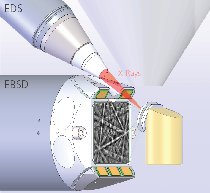 SEM チャンバーにおける EBSD と EDS の組み合わせ分析の理想的なジオメトリの模式図