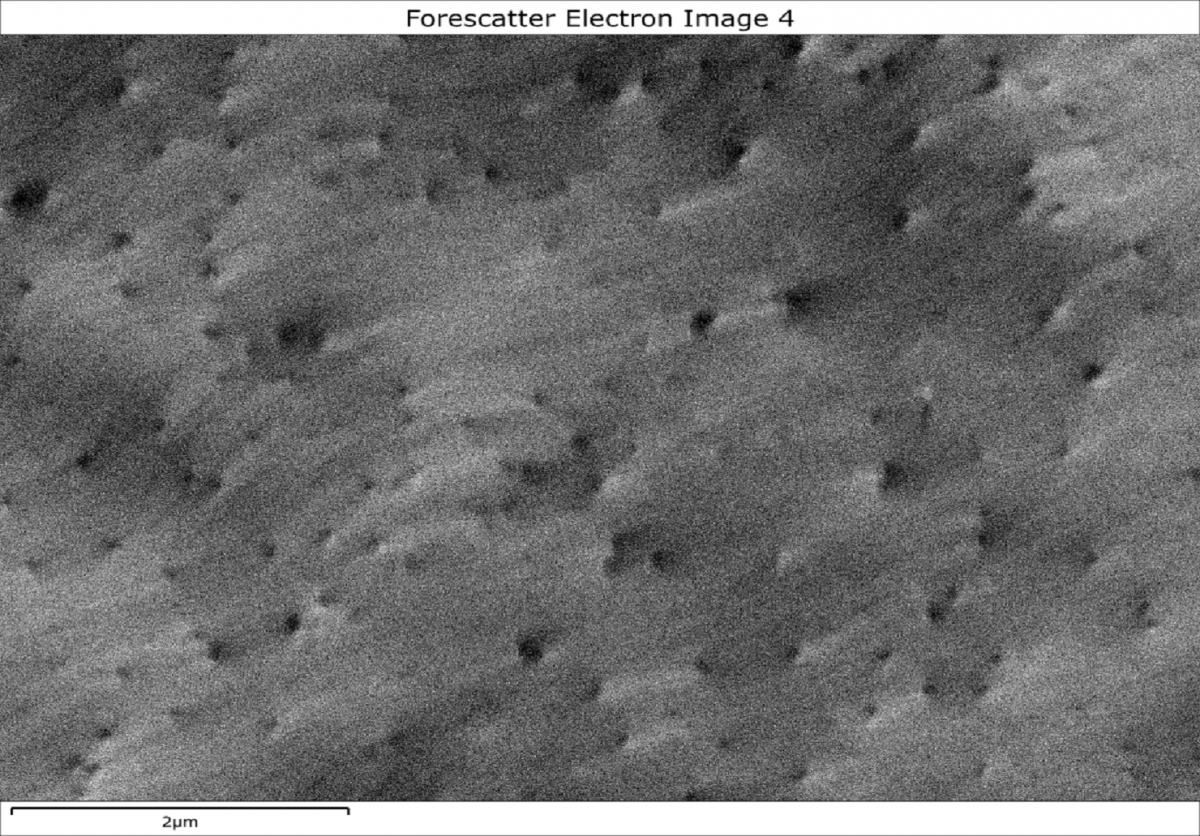 前方散乱検出器を用いて収集した、GaN 薄膜の貫通転位を示す電子チャネリングコントラスト画像